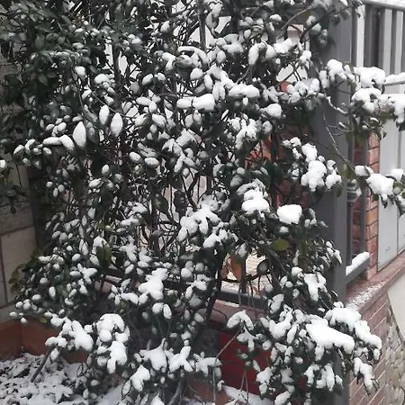 Casa Maricciotti *